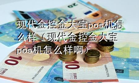 现代金控金大宝pos机怎么样(现代金控金大宝pos机怎么样啊)