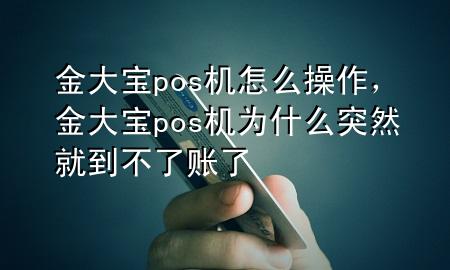金大宝pos机怎么操作，金大宝pos机为什么突然就到不了账了