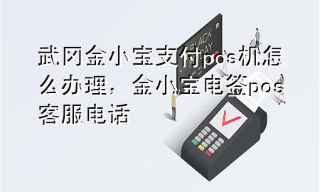 武冈金小宝支付pos机怎么办理，金小宝电签pos客服电话
