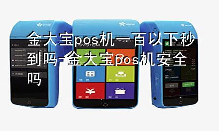 金大宝pos机一百以下秒到吗-金大宝pos机安全吗