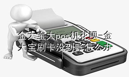 金大宝大pos机花呗-金大宝刷卡没到账怎么办