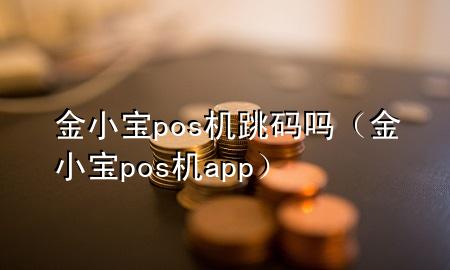 金小宝pos机跳码吗（金小宝pos机app）