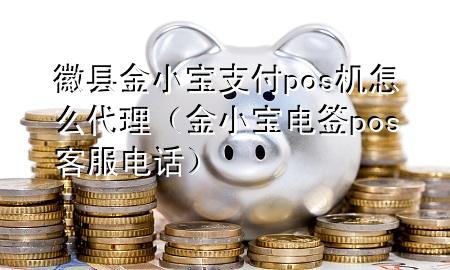 徽县金小宝支付pos机怎么代理（金小宝电签pos客服电话）