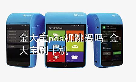 金大宝pos机跳码吗-金大宝刷卡机