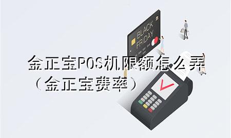 金正宝POS机限额怎么弄（金正宝费率）