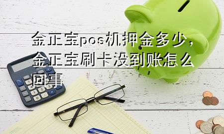 金正宝pos机押金多少，金正宝刷卡没到账怎么回事