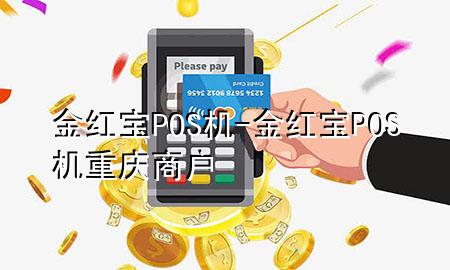 金红宝POS机-金红宝POS机重庆商户