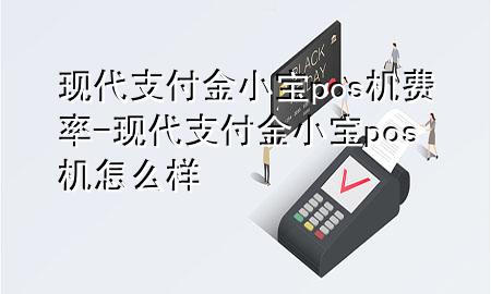 现代支付金小宝pos机费率-现代支付金小宝pos机怎么样