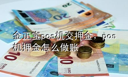 金正宝pos机交押金,pos机押金怎么做账