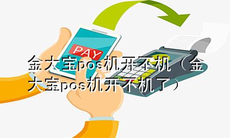 金大宝pos机开不机（金大宝pos机开不机了）