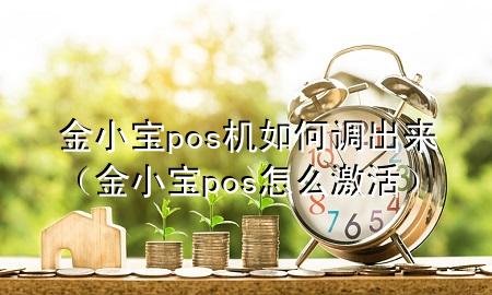 金小宝pos机如何调出来（金小宝pos怎么激活）