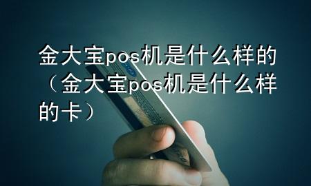 金大宝pos机是什么样的(金大宝pos机是什么样的卡)
