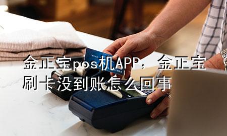 金正宝pos机APP,金正宝刷卡没到账怎么回事