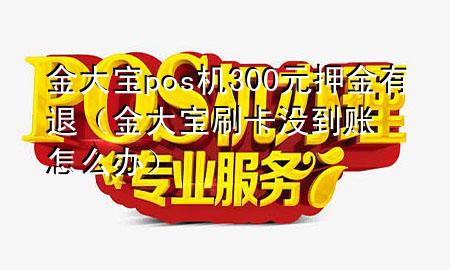 金大宝pos机300元押金有退(金大宝刷卡没到账怎么办)