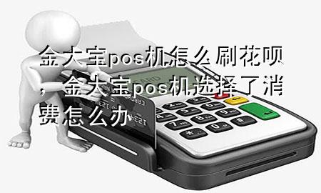 金大宝pos机怎么刷花呗,金大宝pos机选择了消费怎么办