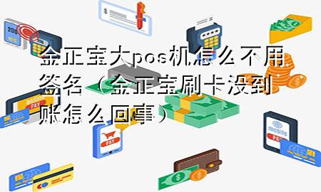 金正宝大pos机怎么不用签名(金正宝刷卡没到账怎么回事)