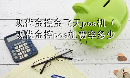现代金控金飞天pos机(现代金控pos机费率多少)