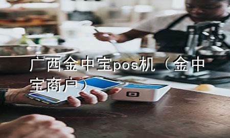 广西金中宝pos机(金中宝商户)