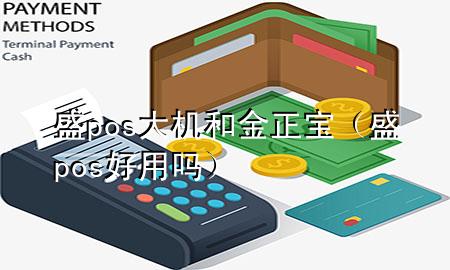 盛pos大机和金正宝(盛pos好用吗)