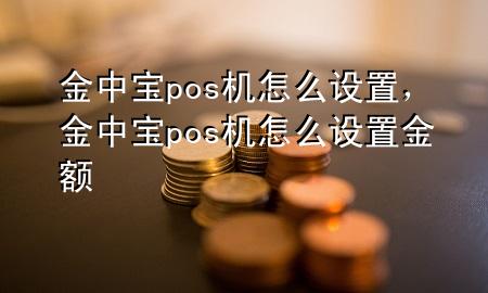 金中宝pos机怎么设置,金中宝pos机怎么设置金额