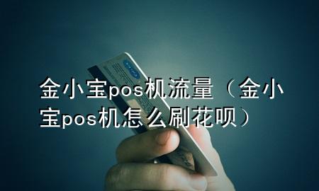 金小宝pos机流量(金小宝pos机怎么刷花呗)