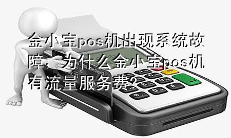 金小宝pos机出现系统故障,为什么金小宝pos机有流量服务费?