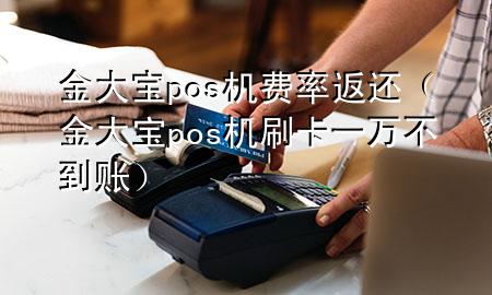 金大宝pos机费率返还(金大宝pos机刷卡一万不到账)