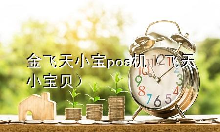金飞天小宝pos机(飞天小宝贝)