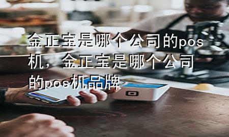 金正宝是哪个公司的pos机,金正宝是哪个公司的pos机品牌