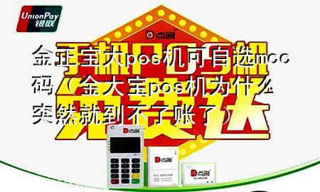 金正宝大pos机可自选mcc码(金大宝pos机为什么突然就到不了账了)