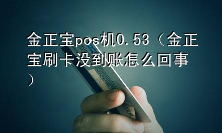 金正宝pos机0.53(金正宝刷卡没到账怎么回事)