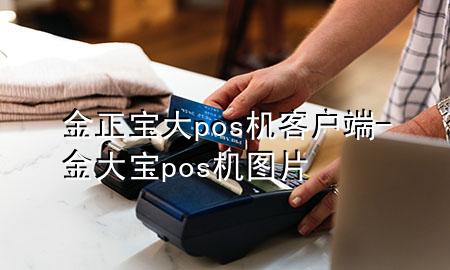 金正宝大pos机客户端-金大宝pos机图片