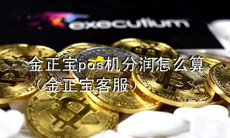 金正宝pos机分润怎么算(金正宝客服)