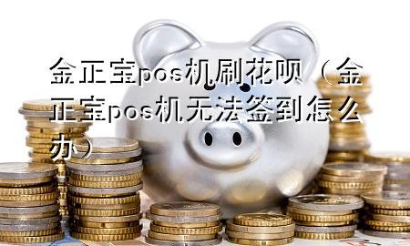 金正宝pos机刷花呗(金正宝pos机无法签到怎么办)