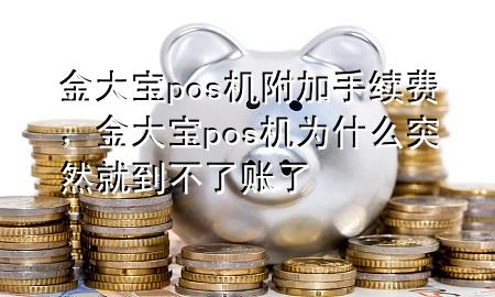 金大宝pos机附加手续费,金大宝pos机为什么突然就到不了账了