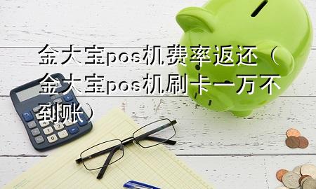 金大宝pos机费率返还（金大宝pos机刷卡一万不到账）