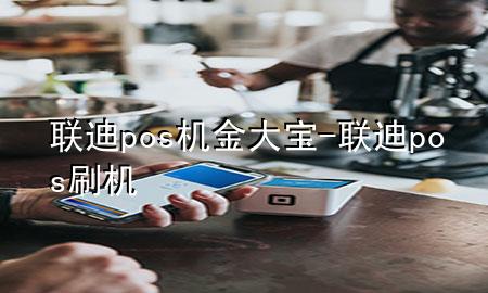 联迪pos机金大宝-联迪pos刷机