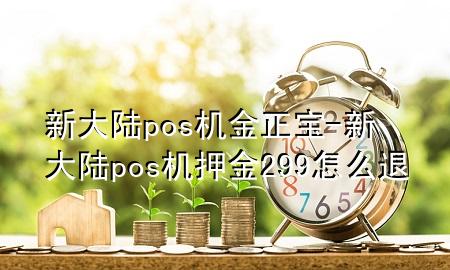 新大陆pos机金正宝-新大陆pos机押金299怎么退