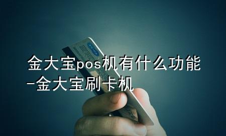 金大宝pos机有什么功能-金大宝刷卡机