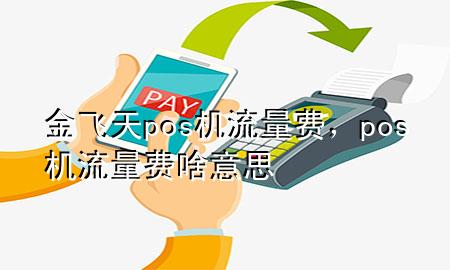 金飞天pos机流量费,pos机流量费啥意思