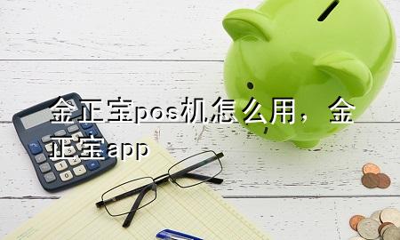 金正宝pos机怎么用，金正宝app