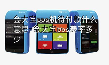 金大宝pos机待付款什么意思-金大宝pos费率多少