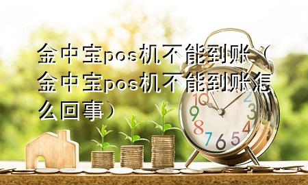 金中宝pos机不能到账(金中宝pos机不能到账怎么回事)