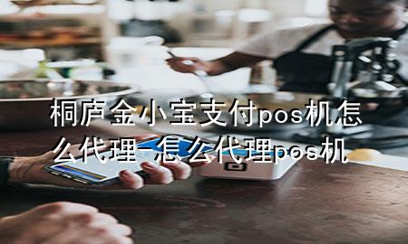 桐庐金小宝支付pos机怎么代理-怎么代理pos机