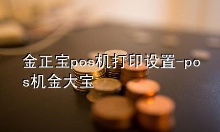 金正宝pos机打印设置-pos机金大宝
