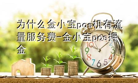 为什么金小宝pos机有流量服务费-金小宝pos押金