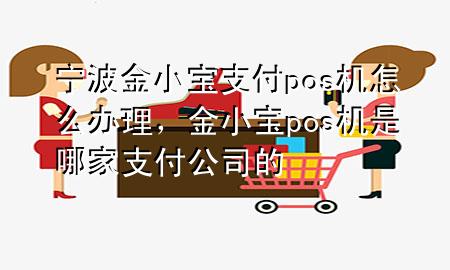 宁波金小宝支付pos机怎么办理，金小宝pos机是哪家支付公司的