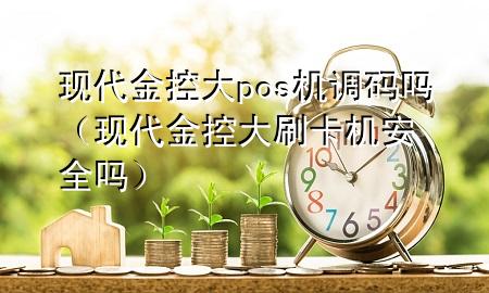 现代金控大pos机调码吗(现代金控大刷卡机安全吗)