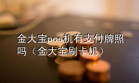 金大宝pos机有支付牌照吗(金大宝刷卡机)