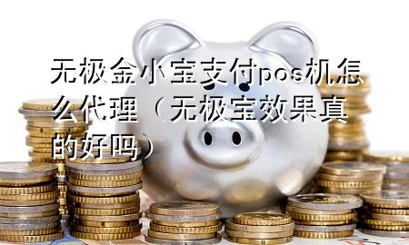 无极金小宝支付pos机怎么代理（无极宝效果真的好吗）